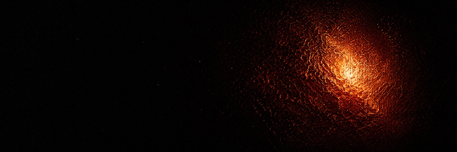 Morsa banner